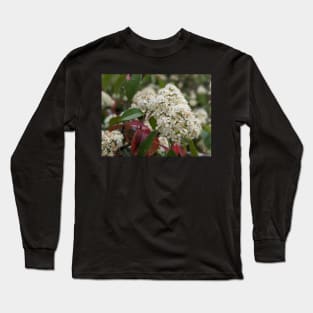 Tiny White Tree Flowers 1 Long Sleeve T-Shirt